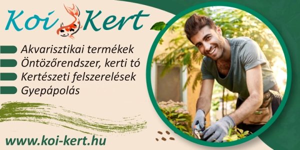 koi-kert.hu
